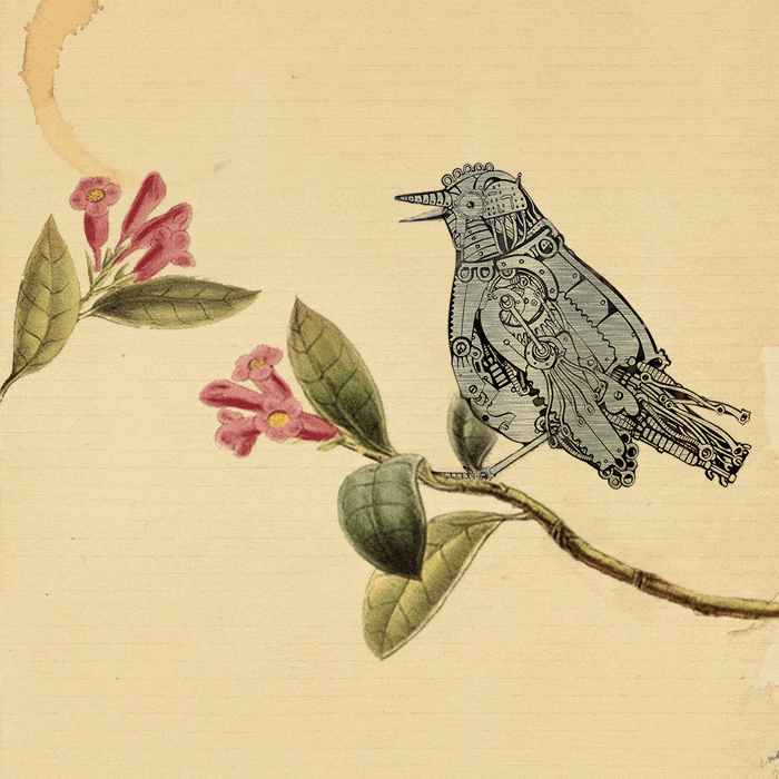 This Algorithm Speaks Just Like Us. I Had a Rare Opportunity to Meet It