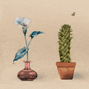 A gif of a bee hovering between a cactus and a flower.
