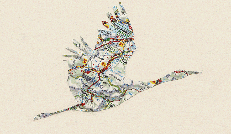 Bird gif - a bird cutout from different city maps