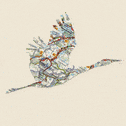 Bird gif -  a bird cutout from different city maps
