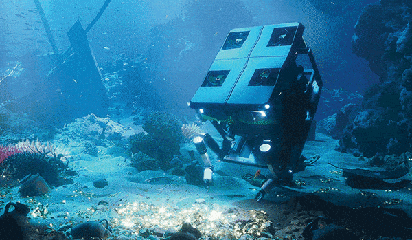 ביזנסוויק אוצרות בים, הומפייג'