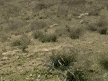 What it’s like when a settler brutally assaults you