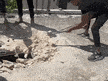 Palestinians in the West Bank, Jerusalem spend Eid al-Adha demolishing their...