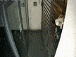 Masked vandal smashes Haaretz door entrance days after similar Channel 12 incident